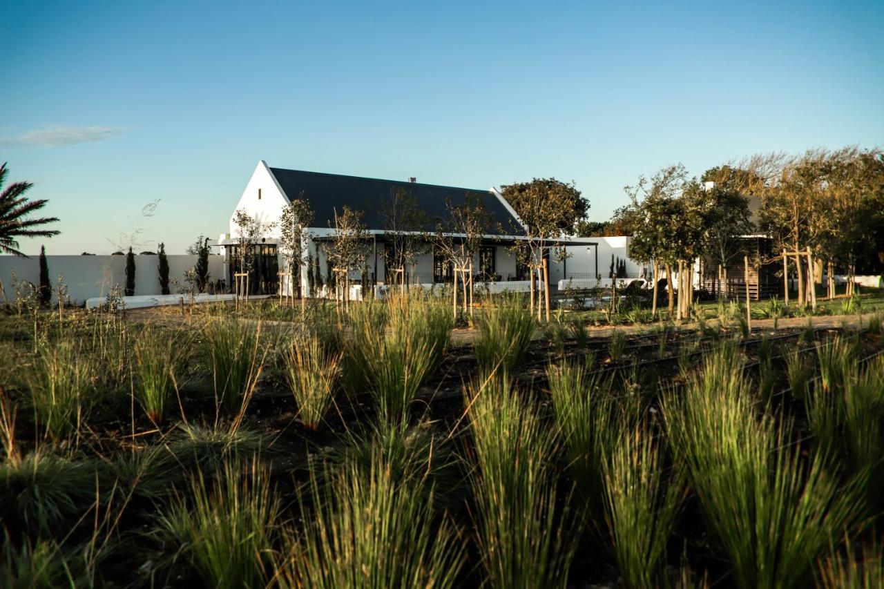Vergenoegd Loew Boutique Hotel & Spa Cape Town Exterior foto