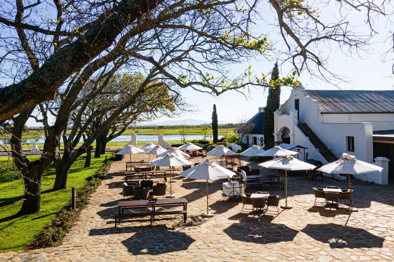 Vergenoegd Loew Boutique Hotel & Spa Cape Town Exterior foto
